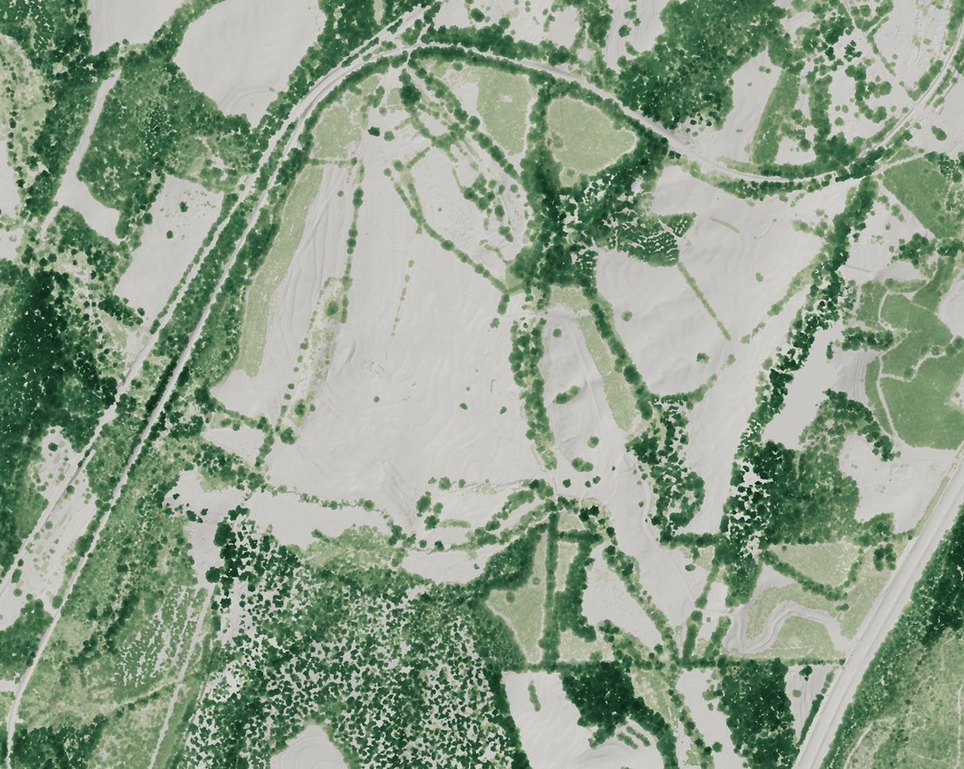 Tree height lidar of the property